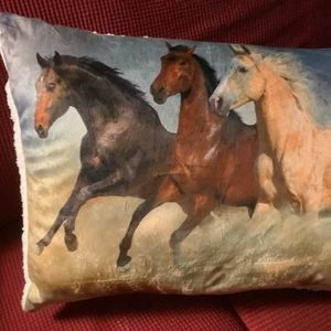 Meet your Posher, Garnella